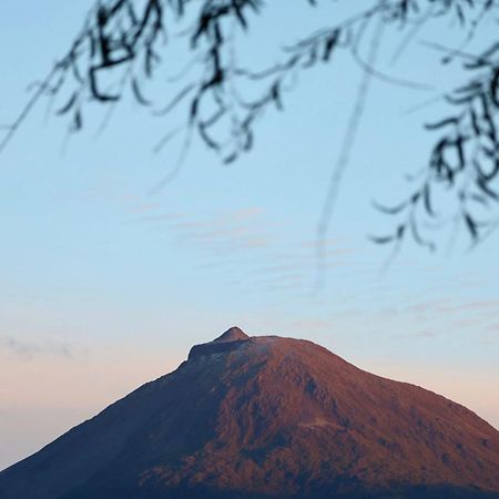 Cantinho Dos Cagarros Lajes do Pico Luaran gambar