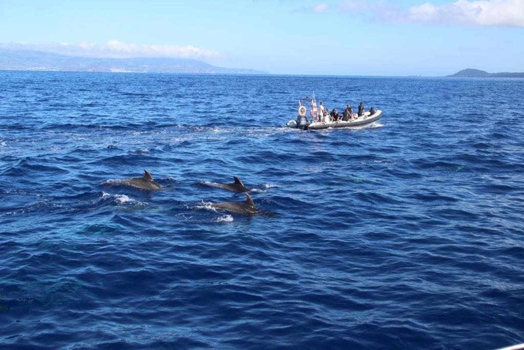 Cantinho Dos Cagarros Lajes do Pico Luaran gambar