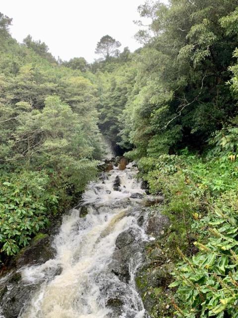 Cantinho Dos Cagarros Lajes do Pico Luaran gambar