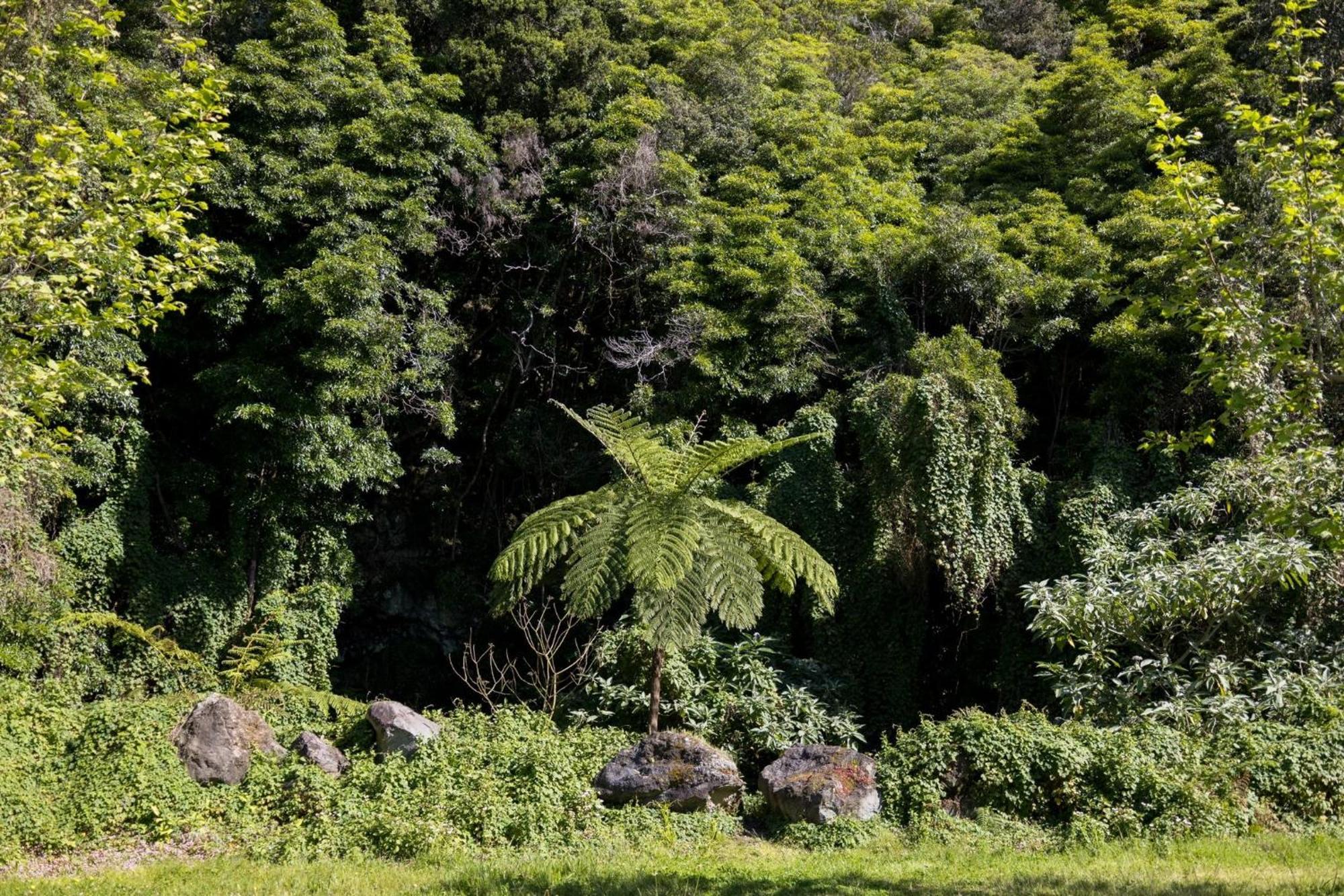 Cantinho Dos Cagarros Lajes do Pico Luaran gambar